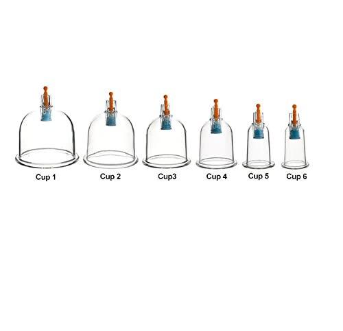 Six clear glass cups with wooden handles on a white background