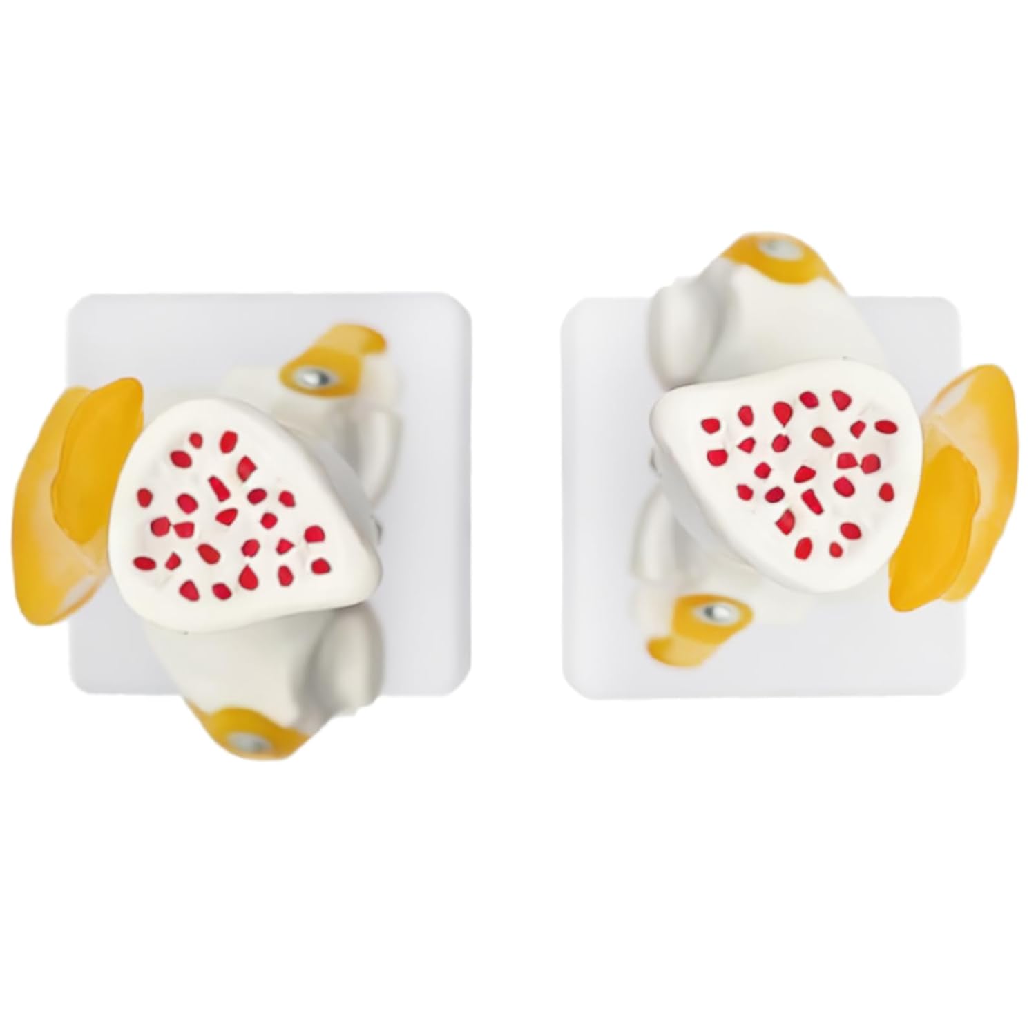 Pair of earrings shaped like watermelons with yellow rinds on a white background